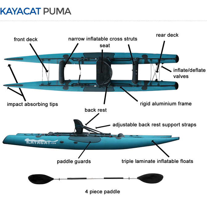 Puma Kayacat